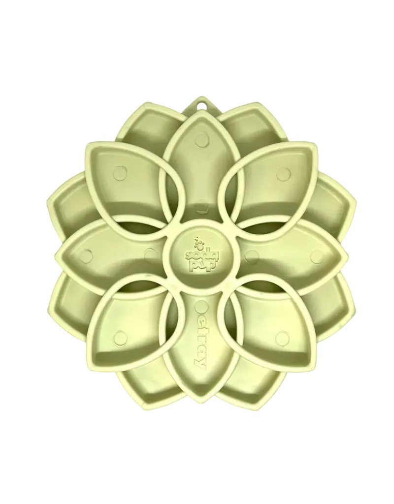 SodaPup SodaPup Enrichment Feeder | Softie Mandala Pastel Green