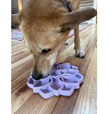 SodaPup SodaPup Enrichment Feeder | Softie Mandala Pastel Green