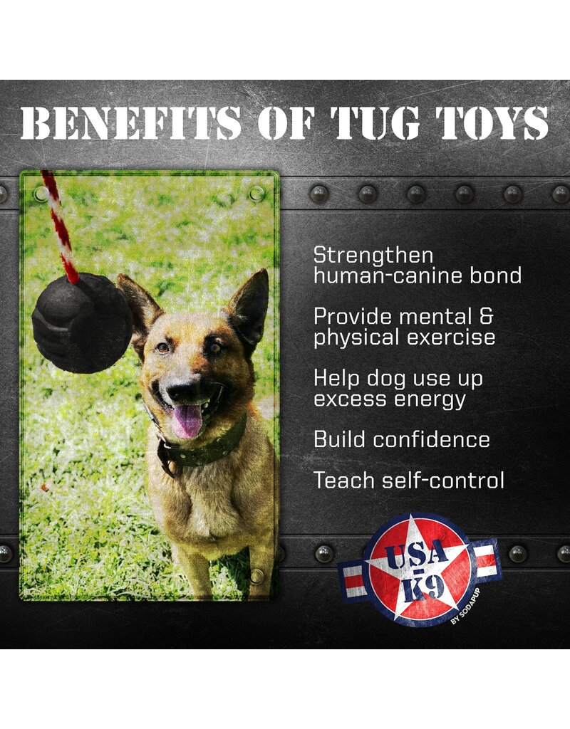 SodaPup SodaPup Enrichment Toys | Reward Ball w/ Rope Magnum Black