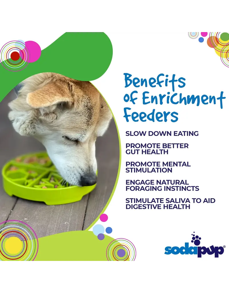 SodaPup SodaPup Enrichment Tray | Four Seasons Green
