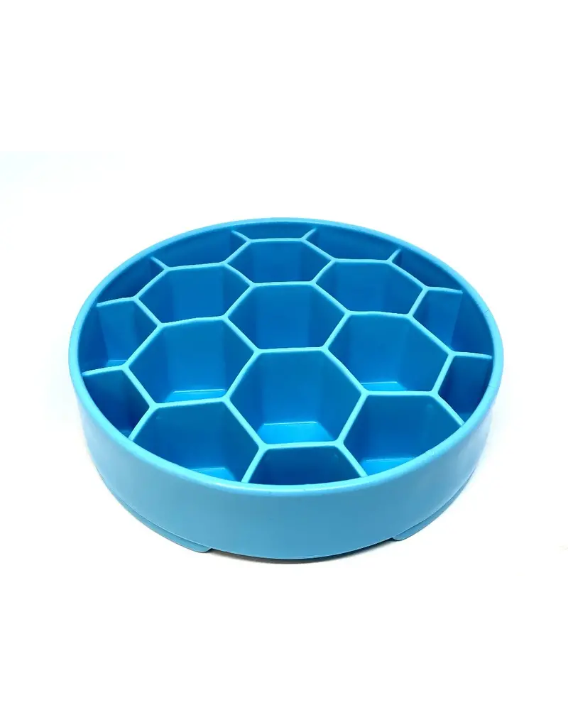 SodaPup SodaPup Enrichment Bowl | Honeycomb Blue