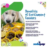 SodaPup SodaPup Enrichment Bowl | Honeycomb Blue