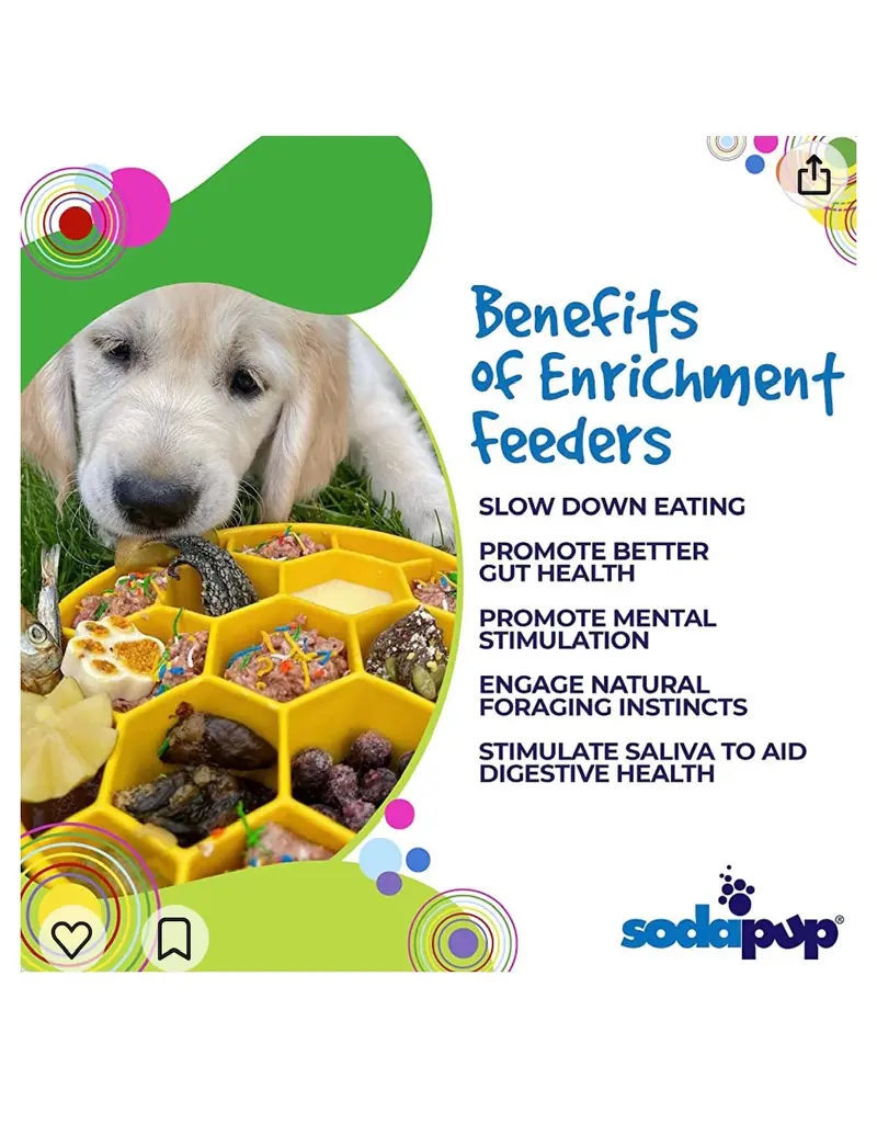 SodaPup SodaPup Enrichment Bowl | Honeycomb Blue