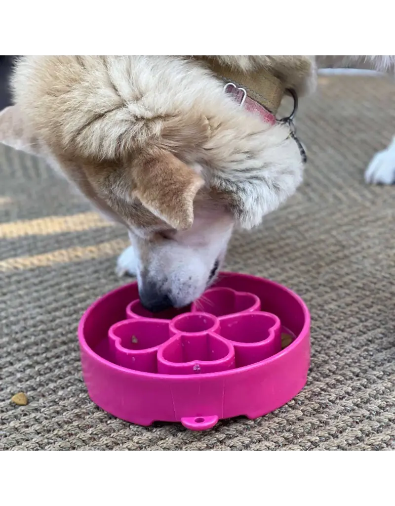 SodaPup SodaPup Enrichment Bowl | Flower Bowl Pink