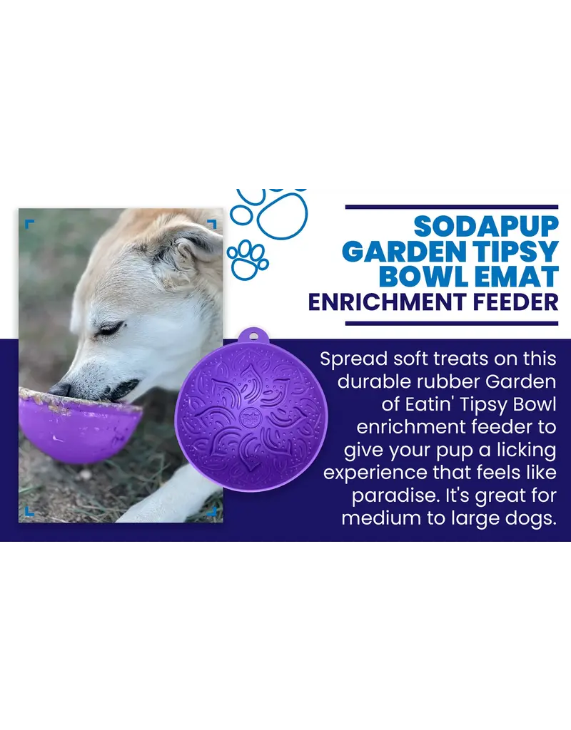 SodaPup SodaPup Enrichment Feeder | Garden of Eatin' Tipsy Bowl Plum