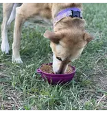 SodaPup SodaPup Enrichment Feeder | Garden of Eatin' Tipsy Bowl Plum