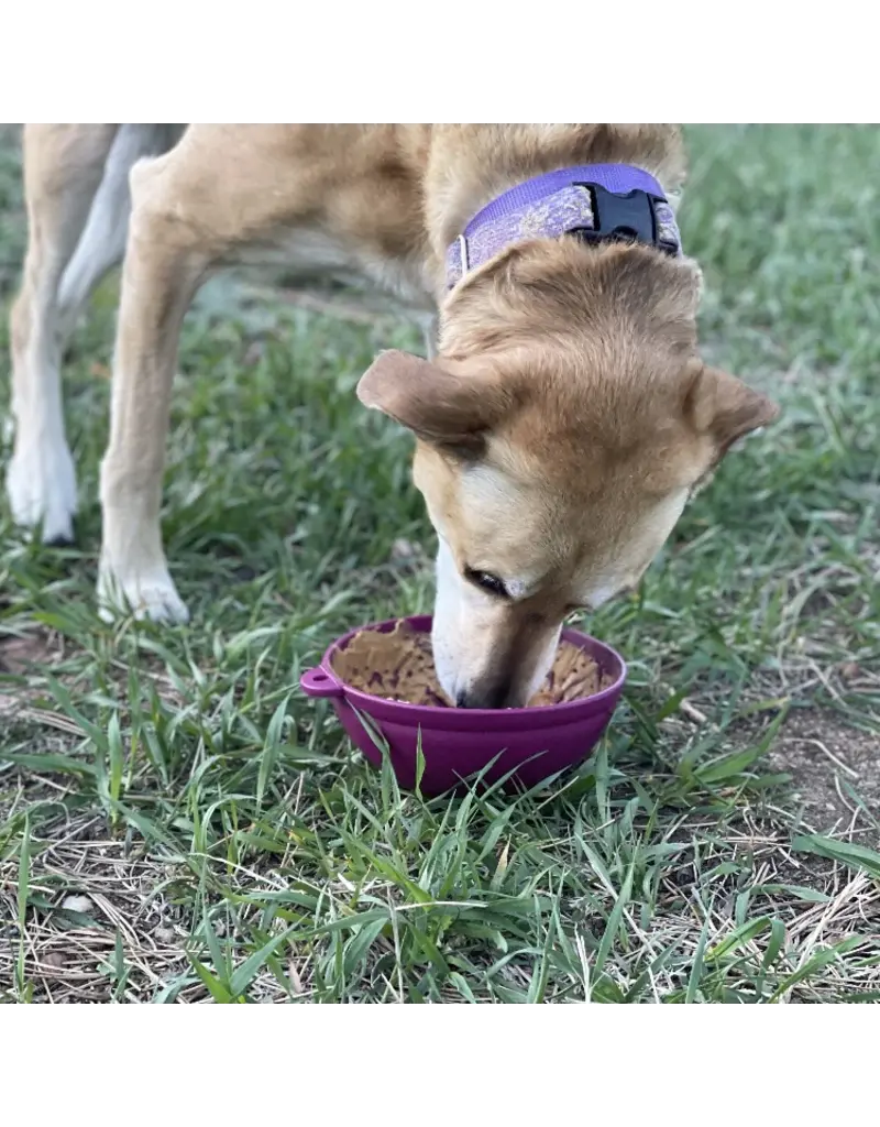 SodaPup SodaPup Enrichment Feeder | Garden of Eatin' Tipsy Bowl Plum