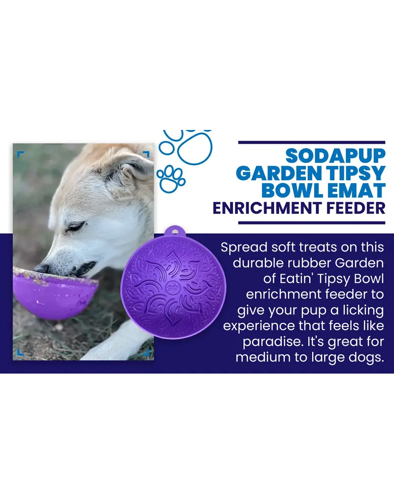 SodaPup SodaPup Enrichment Feeder | Garden of Eatin' Tipsy Bowl Purple