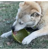 SodaPup SodaPup Enrichment Feeder | Garden of Eatin' Tipsy Bowl Green