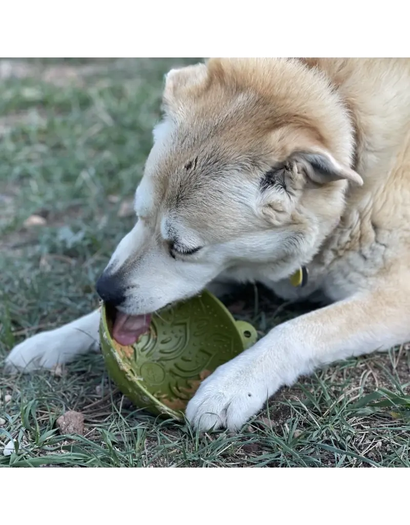 SodaPup SodaPup Enrichment Feeder | Garden of Eatin' Tipsy Bowl Green