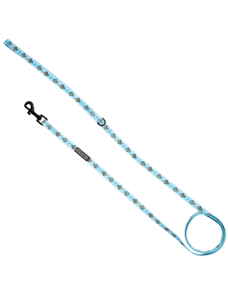 Little Kitty Co. Little Kitty Co. Cat Leash | 1/2" Here Fishy Fishy 5 ft