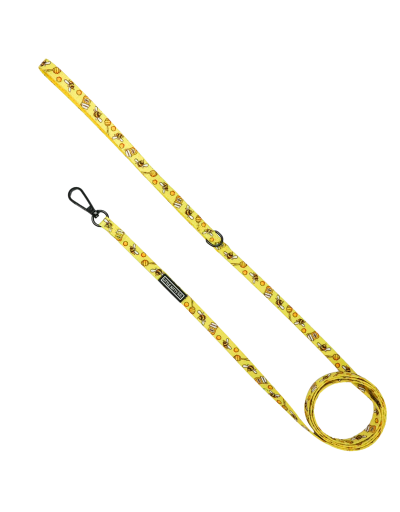 Little Kitty Co. Little Kitty Co. Cat Leash | 1/2" Bee-Hiving 5 ft