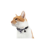 Little Kitty Co. Little Kitty Co. Collar & Bowtie | 1/2" Catstooth Small