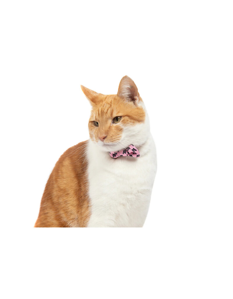 Little Kitty Co. Little Kitty Co. Collar & Bowtie | 1/2" Prettiest of Them All Pink Small