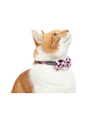 Little Kitty Co. Little Kitty Co. Collar & Bowtie | 1/2" Prettiest of Them All Pink Small