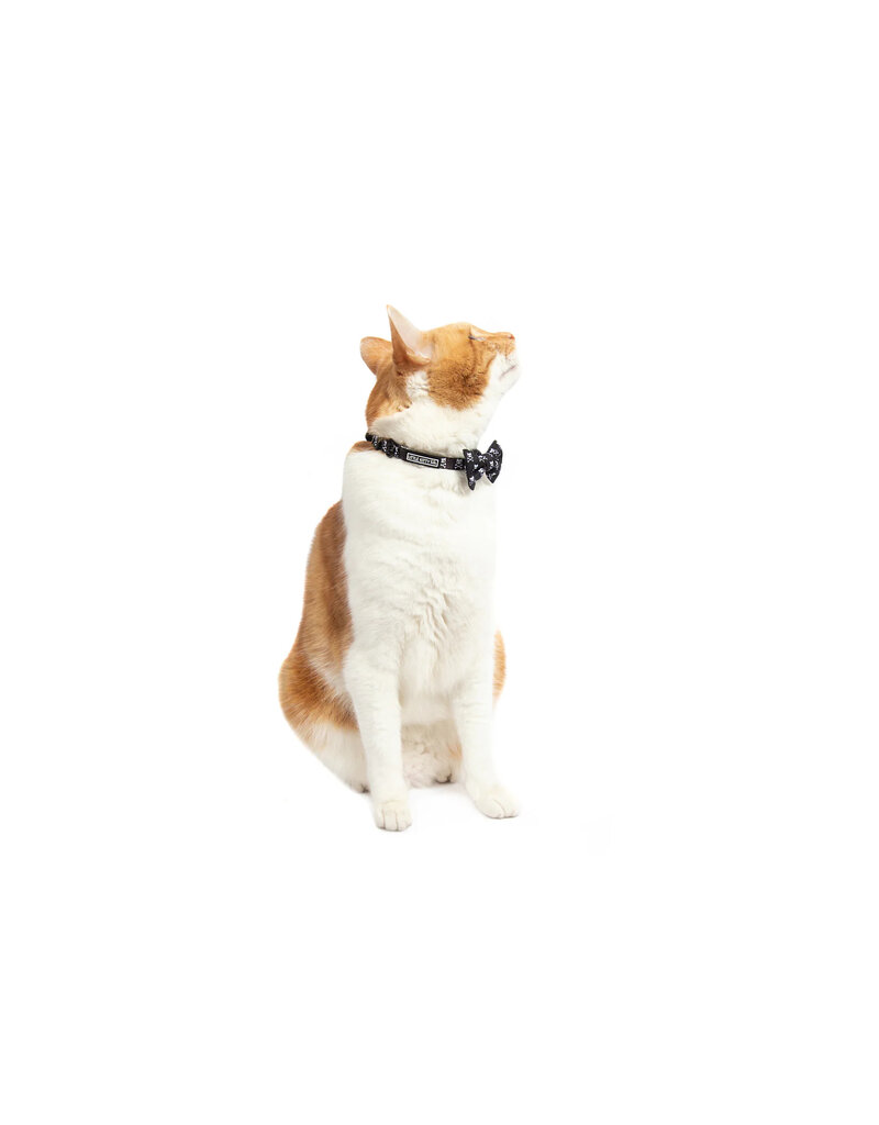 Little Kitty Co. Little Kitty Co. Collar & Bowtie | 1/2" Baddest of Them All Black Small