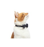Little Kitty Co. Little Kitty Co. Collar & Bowtie | 1/2" Baddest of Them All Black Small