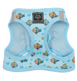 Little Kitty Co. Little Kitty Co. Cat Harness | Here Fishy Fishy Blue Medium
