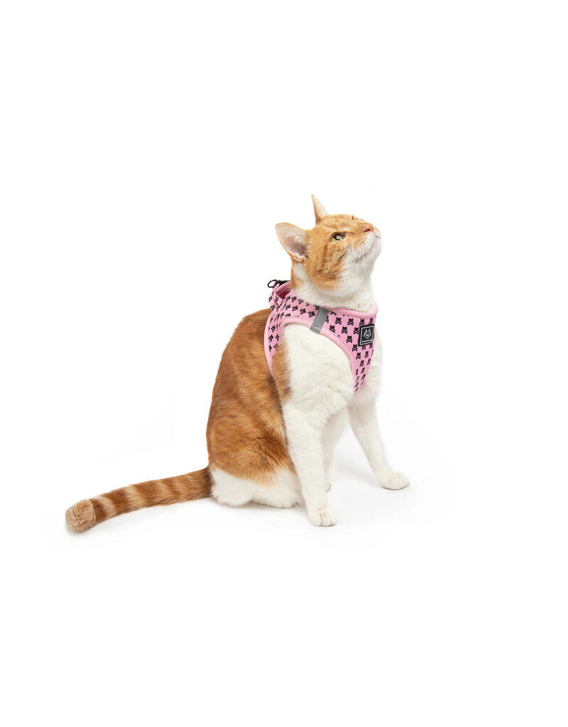 Little Kitty Co. Little Kitty Co. Cat Harness | Prettiest of Them All Pink Medium