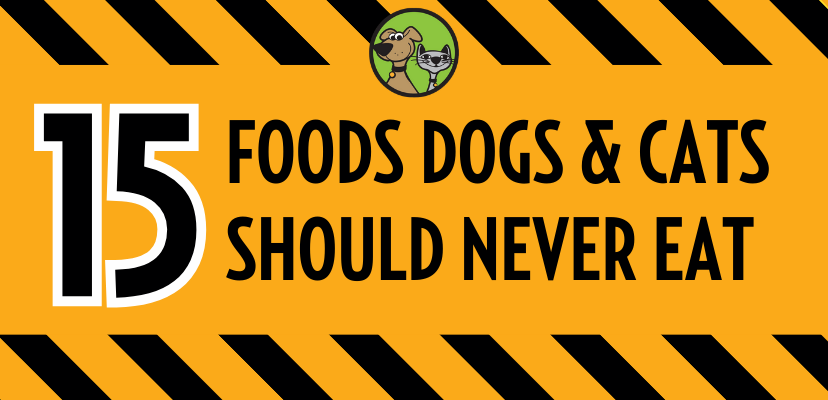 15 Foods to Avoid Feeding Your Cat or Dog