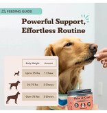 Natural Dog Company Natural Dog Company Supplements | Vet Strength Skin & Coat Soft Chews 90 ct