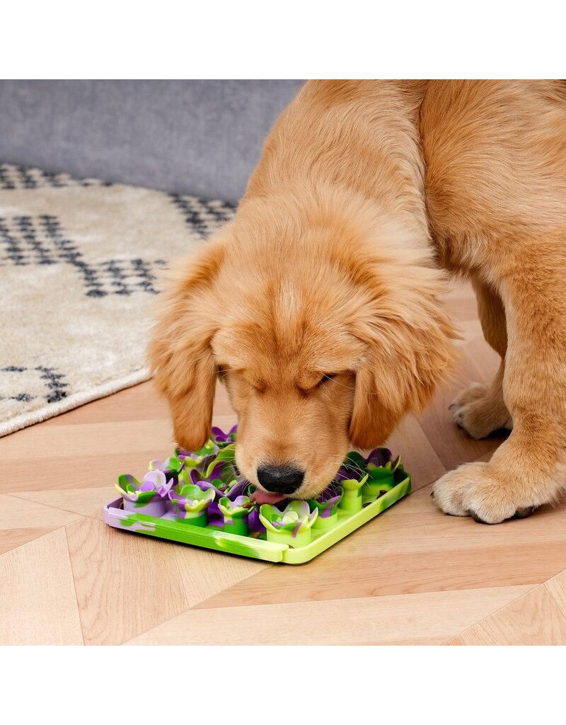 Tall Tails Tall Tails Foraging Mat | Multi Color Succulent 3D 8.5 in/1 Cup