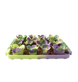 Tall Tails Tall Tails Foraging Mat | Multi Color Succulent 3D 8.5 in/1 Cup