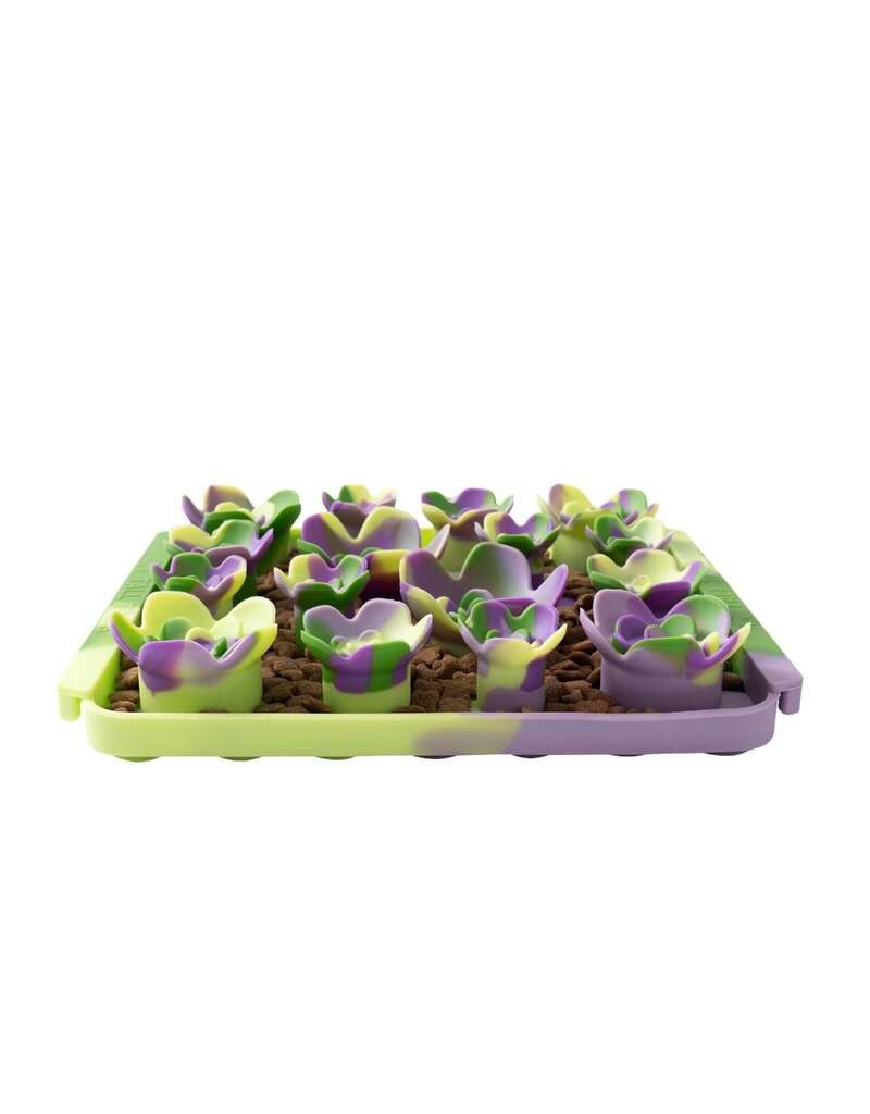 Tall Tails Tall Tails Foraging Mat | Multi Color Succulent 3D 8.5 in/1 Cup