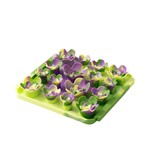Tall Tails Tall Tails Foraging Mat | Multi Color Succulent 3D 8.5 in/1 Cup