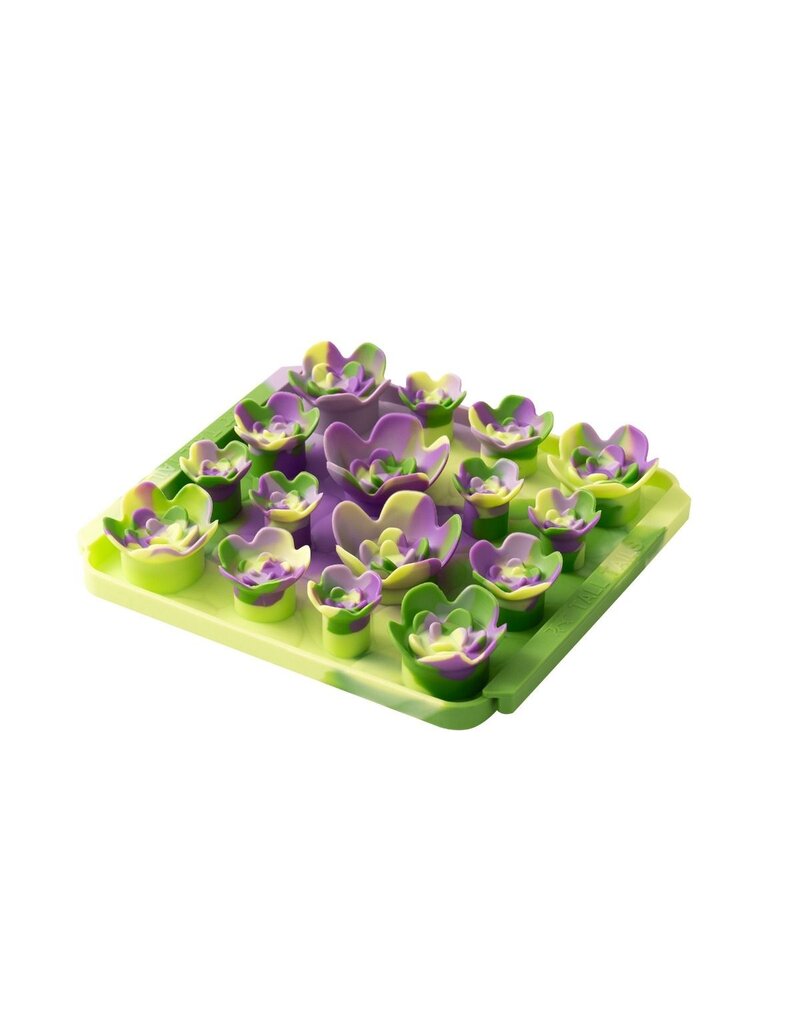 Tall Tails Tall Tails Foraging Mat | Multi Color Succulent 3D 8.5 in/1 Cup