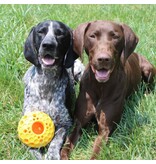 Tall Tails Tall Tails Dog Toys | Rubber Bee Hive 4"