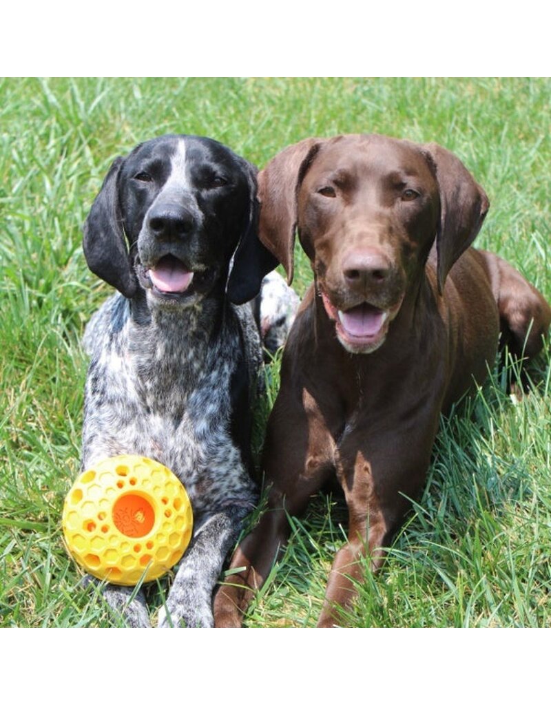 Tall Tails Tall Tails Dog Toys | Rubber Bee Hive 4"