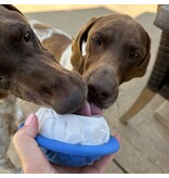 Tall Tails Tall Tails Dog Toys | Rubber Polar 4"