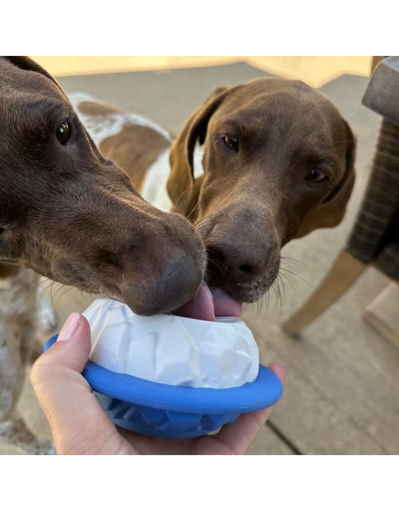 Tall Tails Tall Tails Dog Toys | Rubber Polar 4"