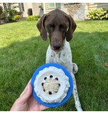 Tall Tails Tall Tails Dog Toys | Rubber Polar 4"