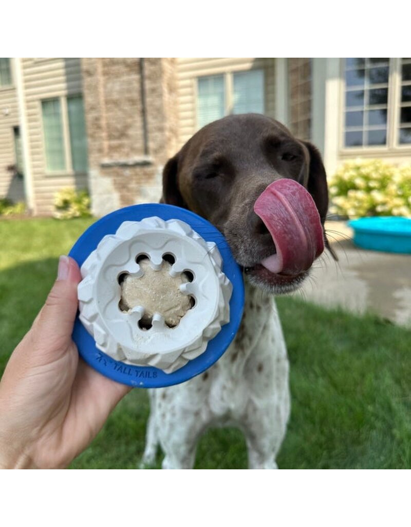 Tall Tails Tall Tails Dog Toys | Rubber Polar 4"