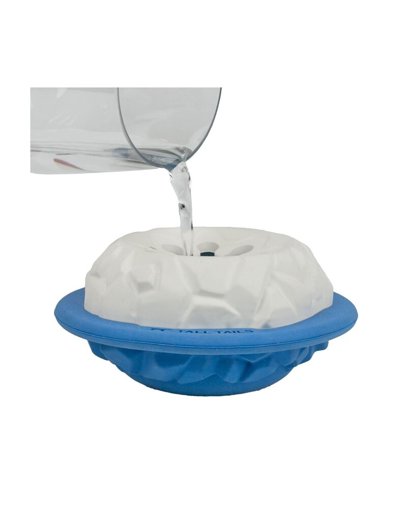 Tall Tails Tall Tails Dog Toys | Rubber Polar 4"