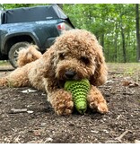 Tall Tails Tall Tails Dog Toys | Rubber Evergreen 4"