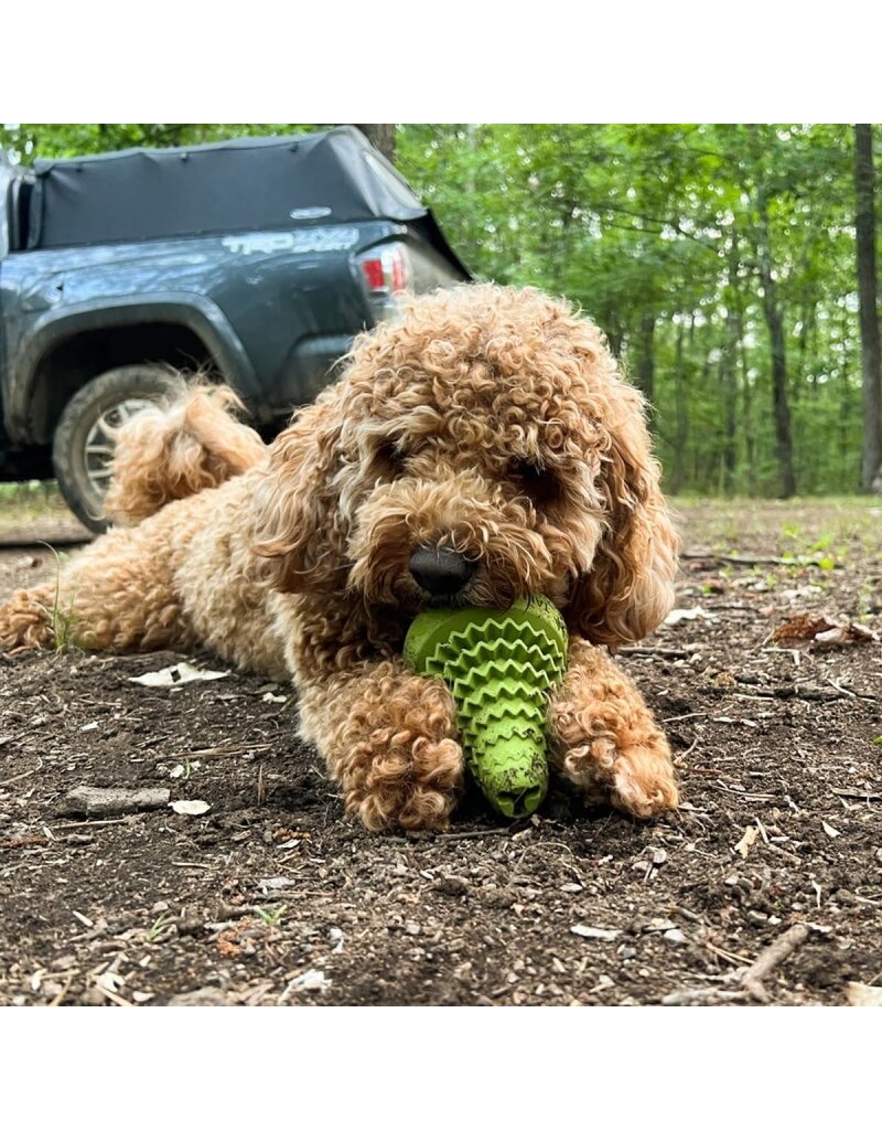 Tall Tails Tall Tails Dog Toys | Rubber Evergreen 4"