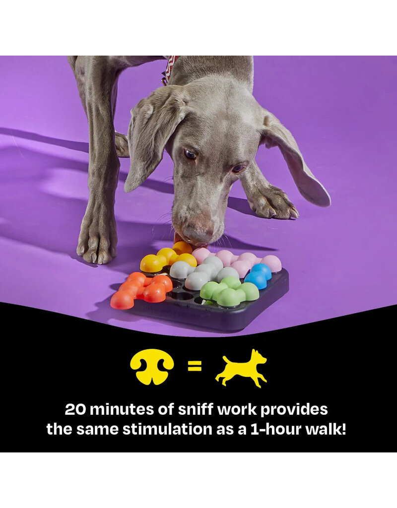 Brightkins Learning Resources | Brightkins Kanoodle Puzzle Small Dog Edition