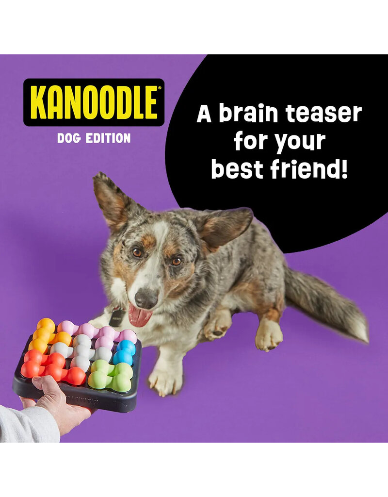 Brightkins Learning Resources | Brightkins Kanoodle Puzzle Small Dog Edition