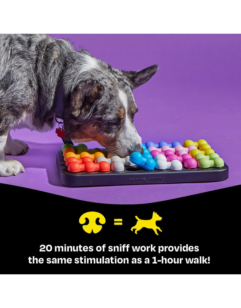 Brightkins Learning Resources | Brightkins Kanoodle Puzzle Large Dog Edition