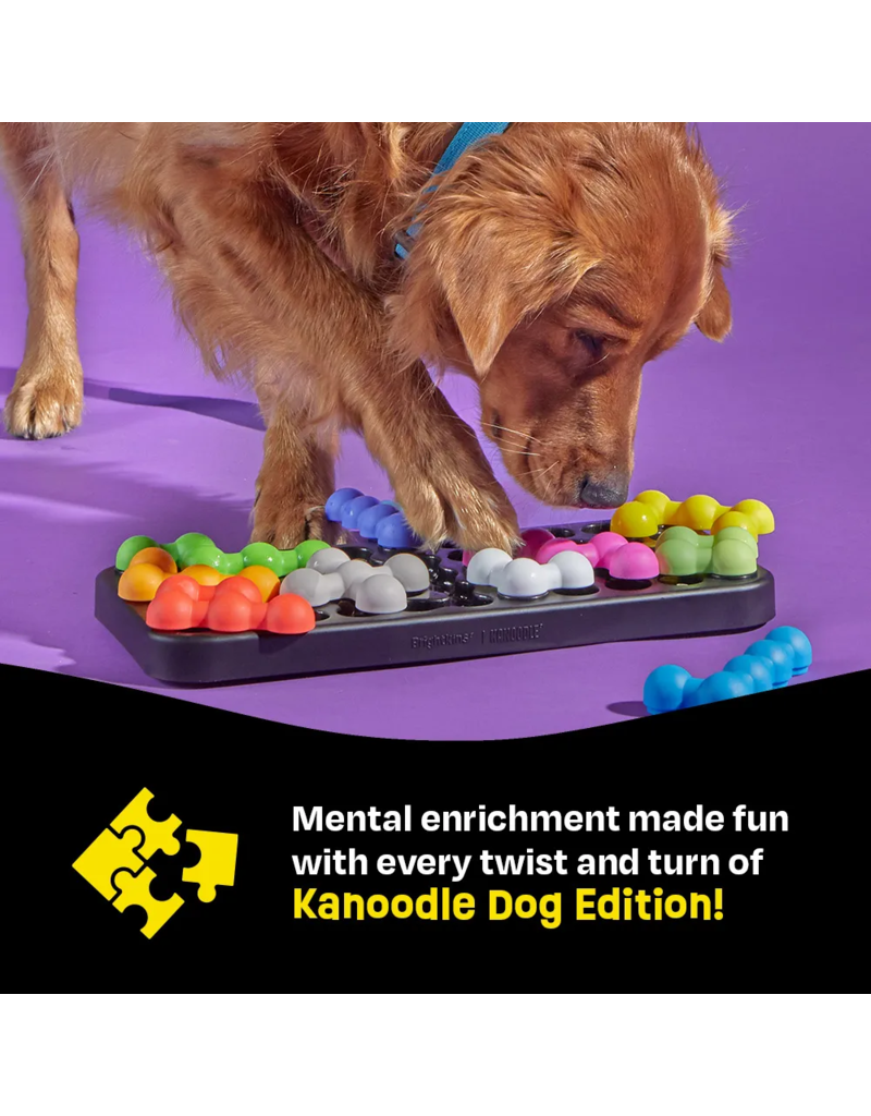 Brightkins Learning Resources | Brightkins Kanoodle Puzzle Large Dog Edition