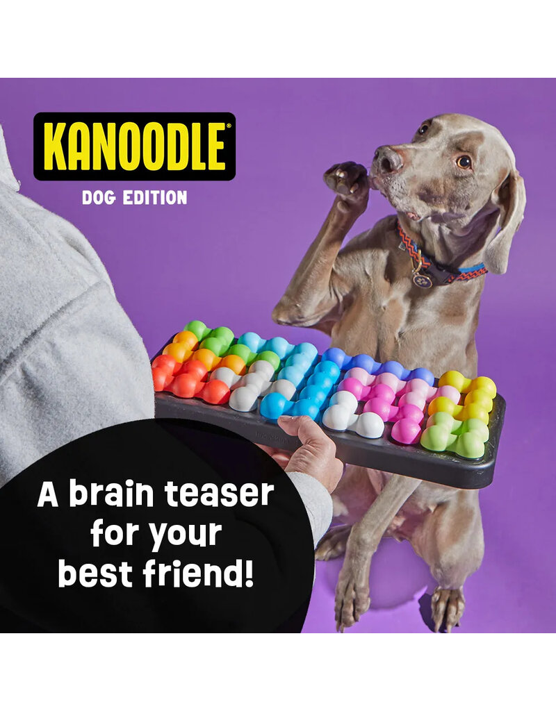 Brightkins Learning Resources | Brightkins Kanoodle Puzzle Large Dog Edition