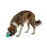 Brightkins Learning Resources | Brightkins Large Tough & Tumble Gnome Teal