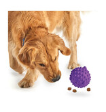 Brightkins Learning Resources | Brightkins Large Tough & Tumble Pufferfish Purple