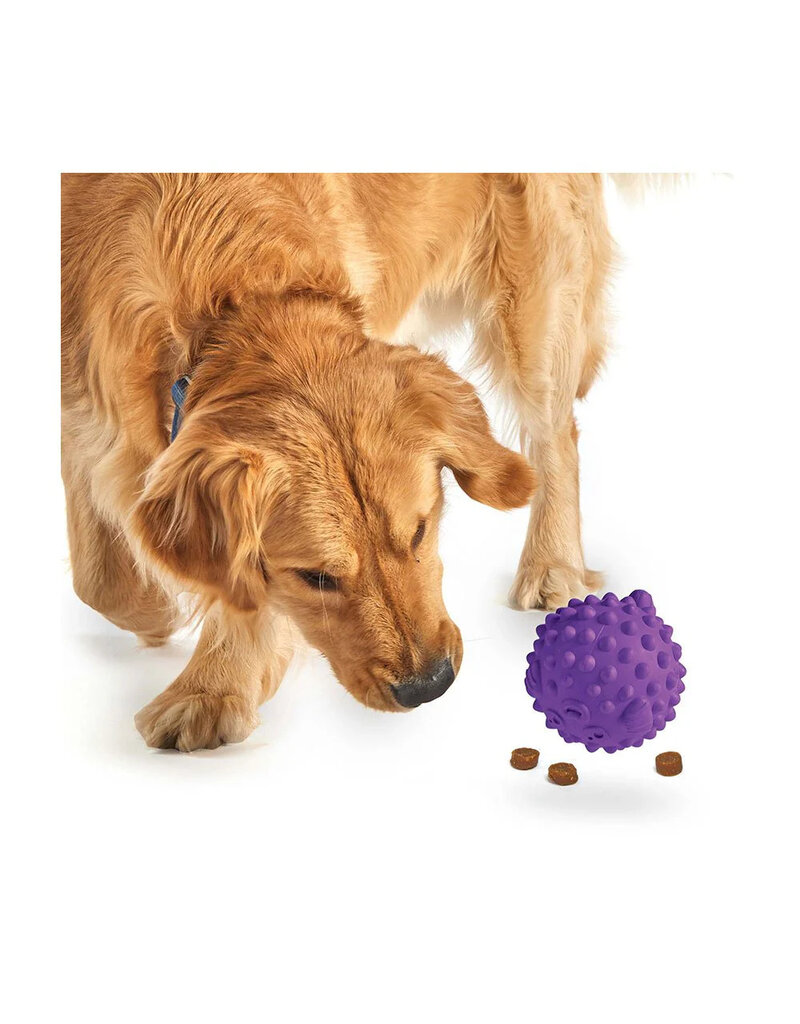 Brightkins Learning Resources | Brightkins Large Tough & Tumble Pufferfish Purple