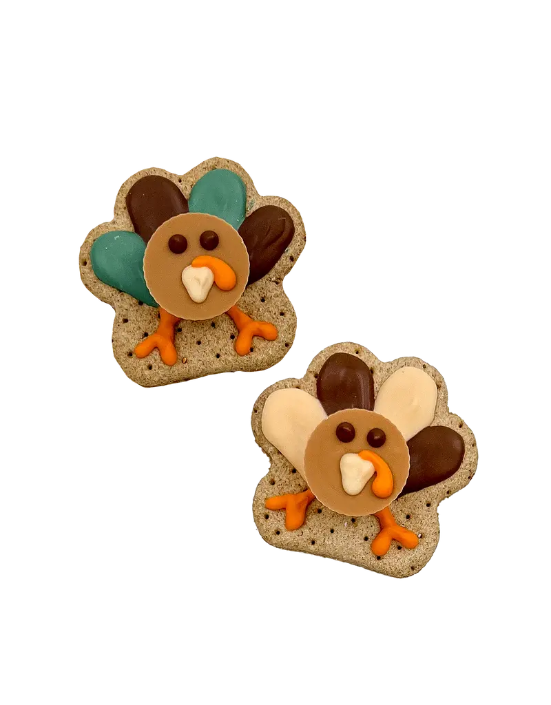 Bosco and Roxy's Bosco & Roxy's 2025 Fall Collection | 3D Turkey single