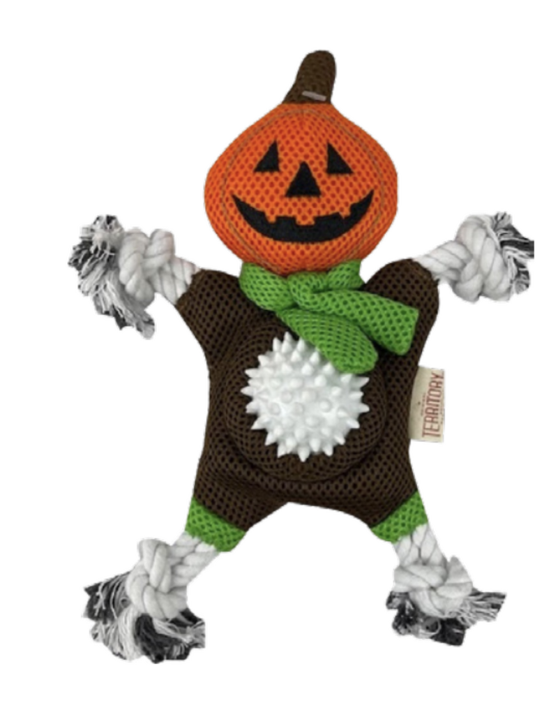Territory Territory Halloween Dog Toy | 2-in-1 Pumpkin Head 10.5"