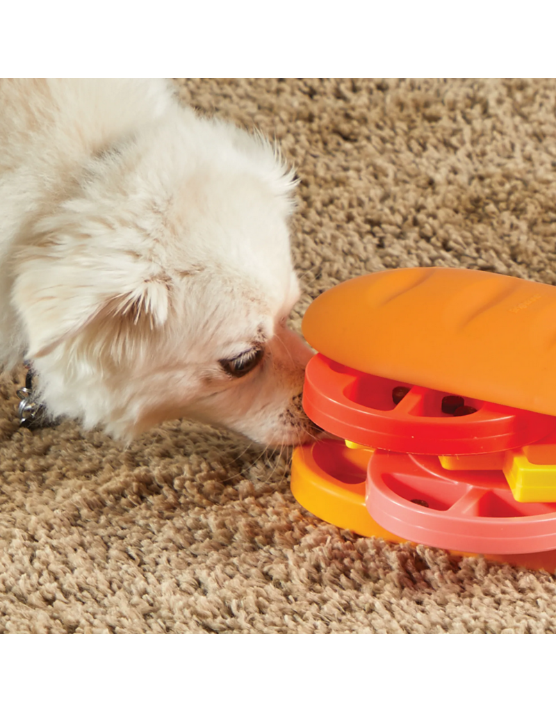 Brightkins Learning Resources | Brightkins Pupstrami Surprise! Treat Puzzle